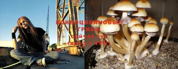 Альфа ПВП Протвино