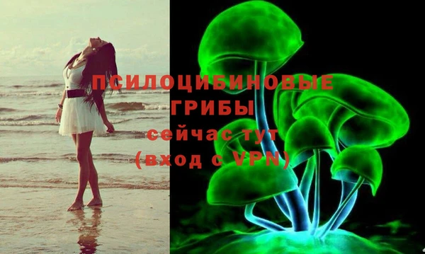 Альфа ПВП Протвино
