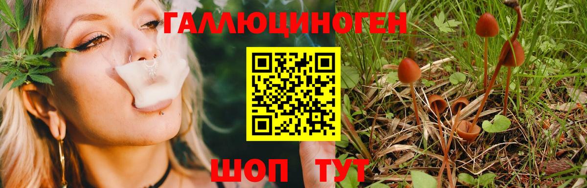 Галлюциногенные грибы ЛСД Татарск