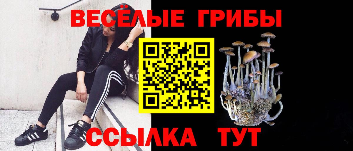 Альфа ПВП СК   Вход с VPN  Меф МЯУ МЯУ   ГАШ  Бошки Шишки  Татарск  COCAIN 