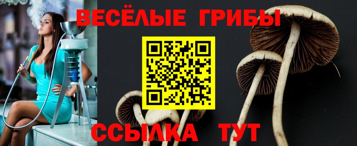 Псилоцибиновые грибы Psilocybe  Вход с VPN  Татарск 