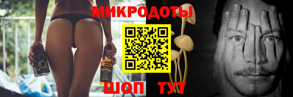 Псилоцибиновые грибы прущие грибы  Татарск  Псилоцибиновые грибы MAGIC MUSHROOMS 